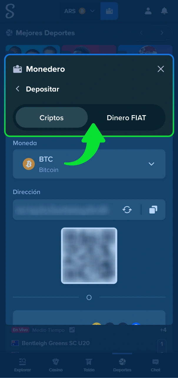 Realiza el depósito mínimo en el sitio oficial de Stake.