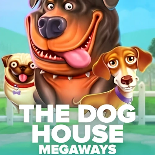 Juega Dog House Megaways en el sitio oficial de Stake.